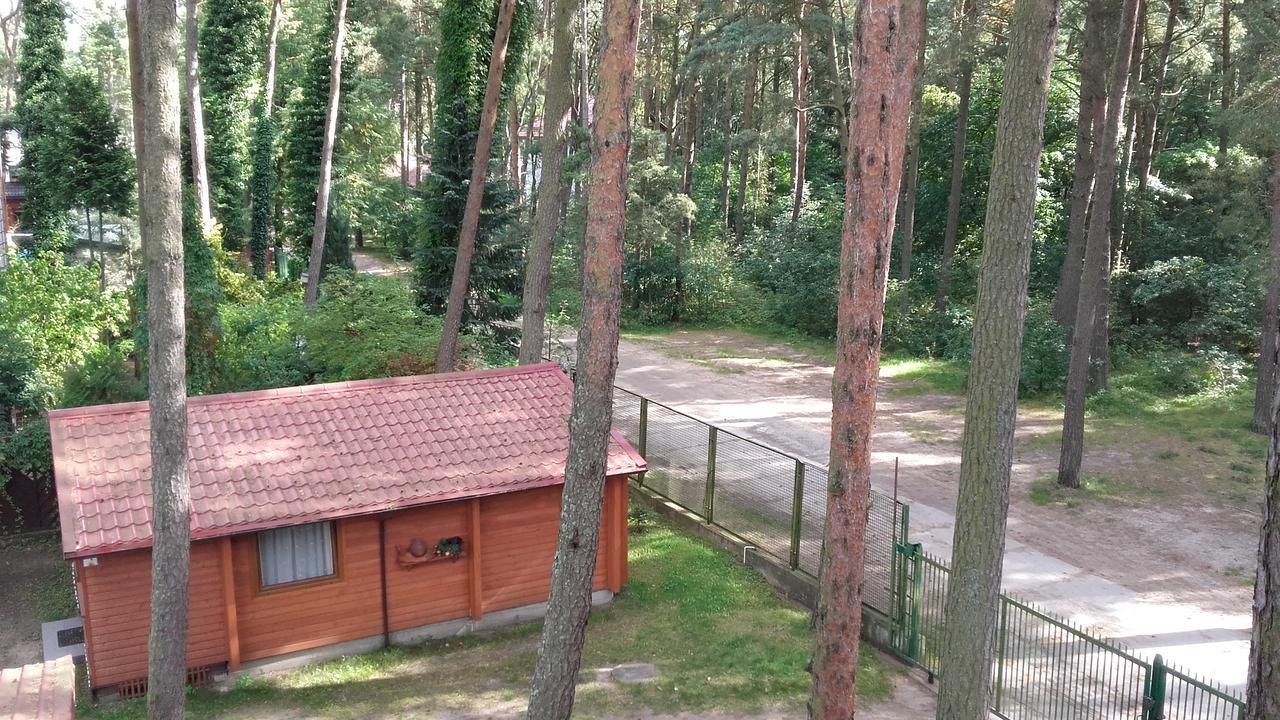 加比ow山林小屋 Międzywodzie 外观 照片